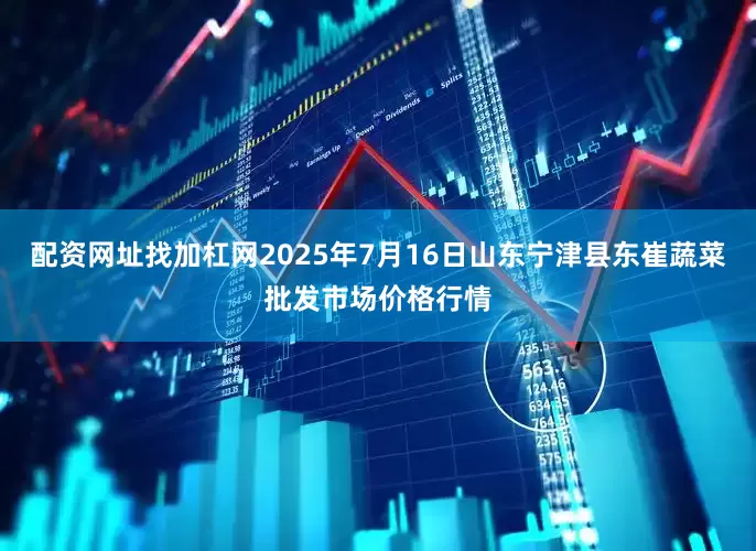 配资网址找加杠网2025年7月16日山东宁津县东崔蔬菜批发市场价格行情