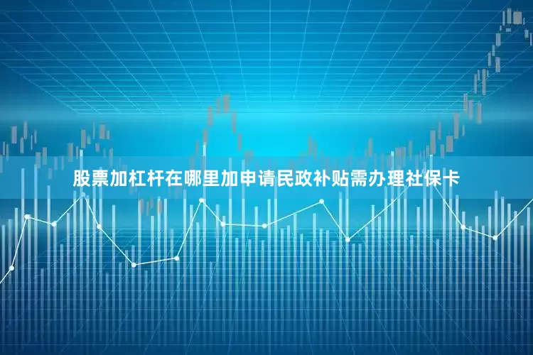 股票加杠杆在哪里加申请民政补贴需办理社保卡