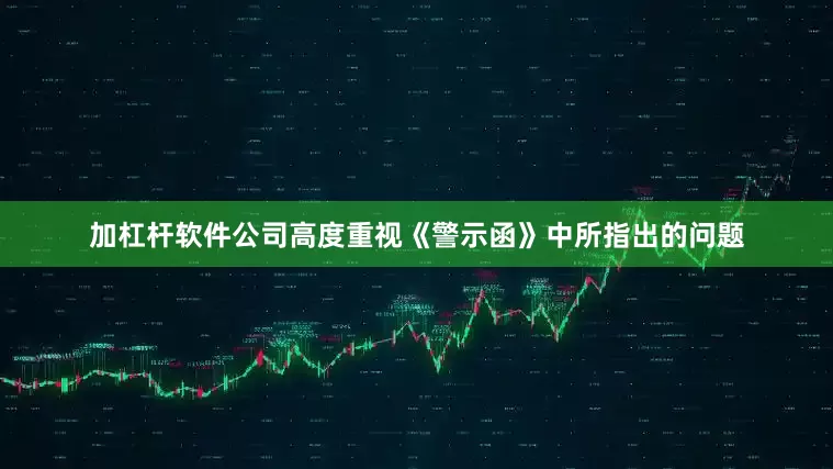 加杠杆软件公司高度重视《警示函》中所指出的问题